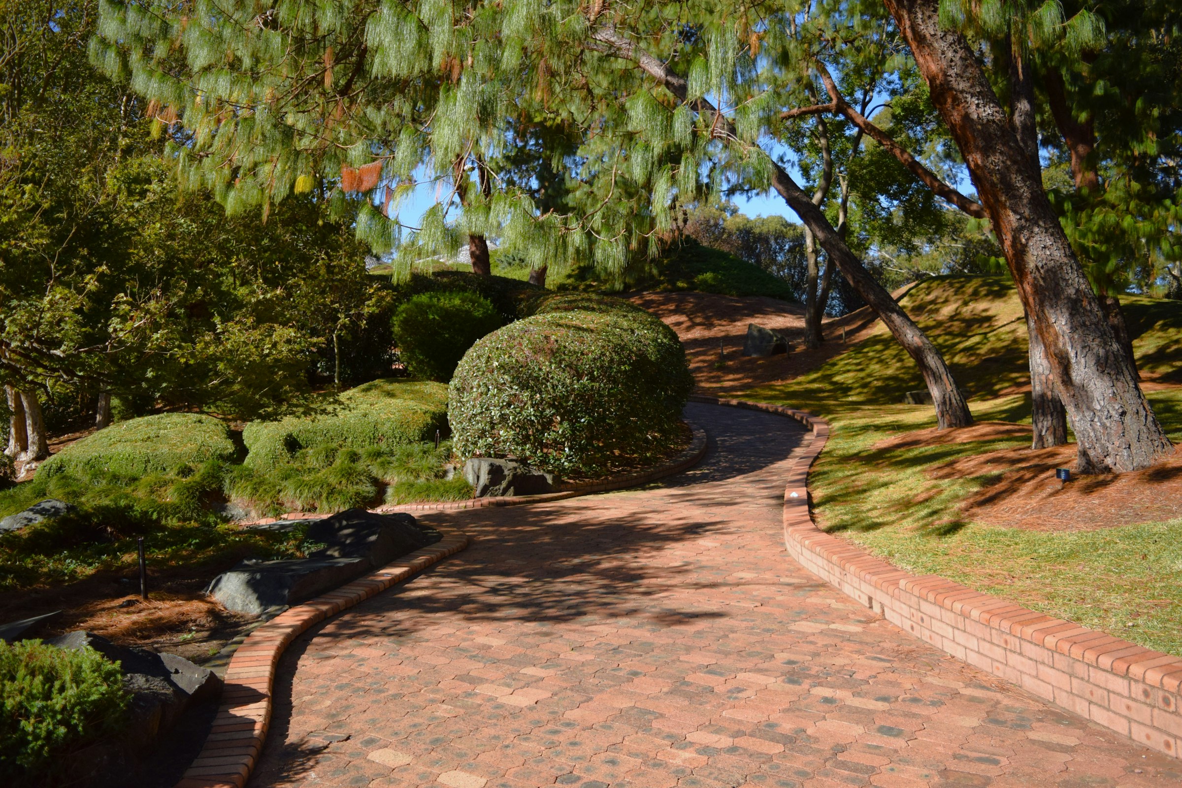Curving brick paver walkway with brick edging through a shaded garden